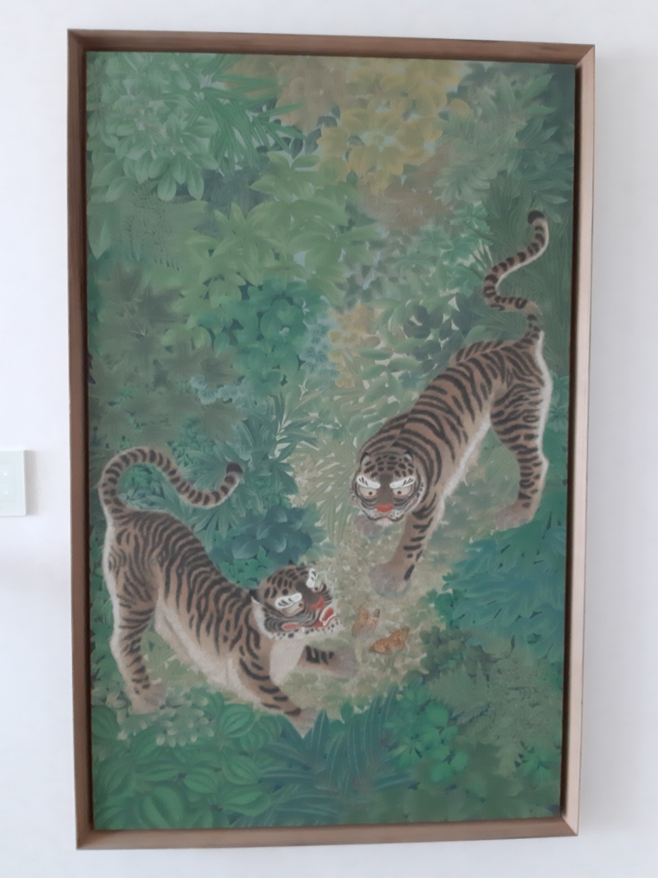images_5217