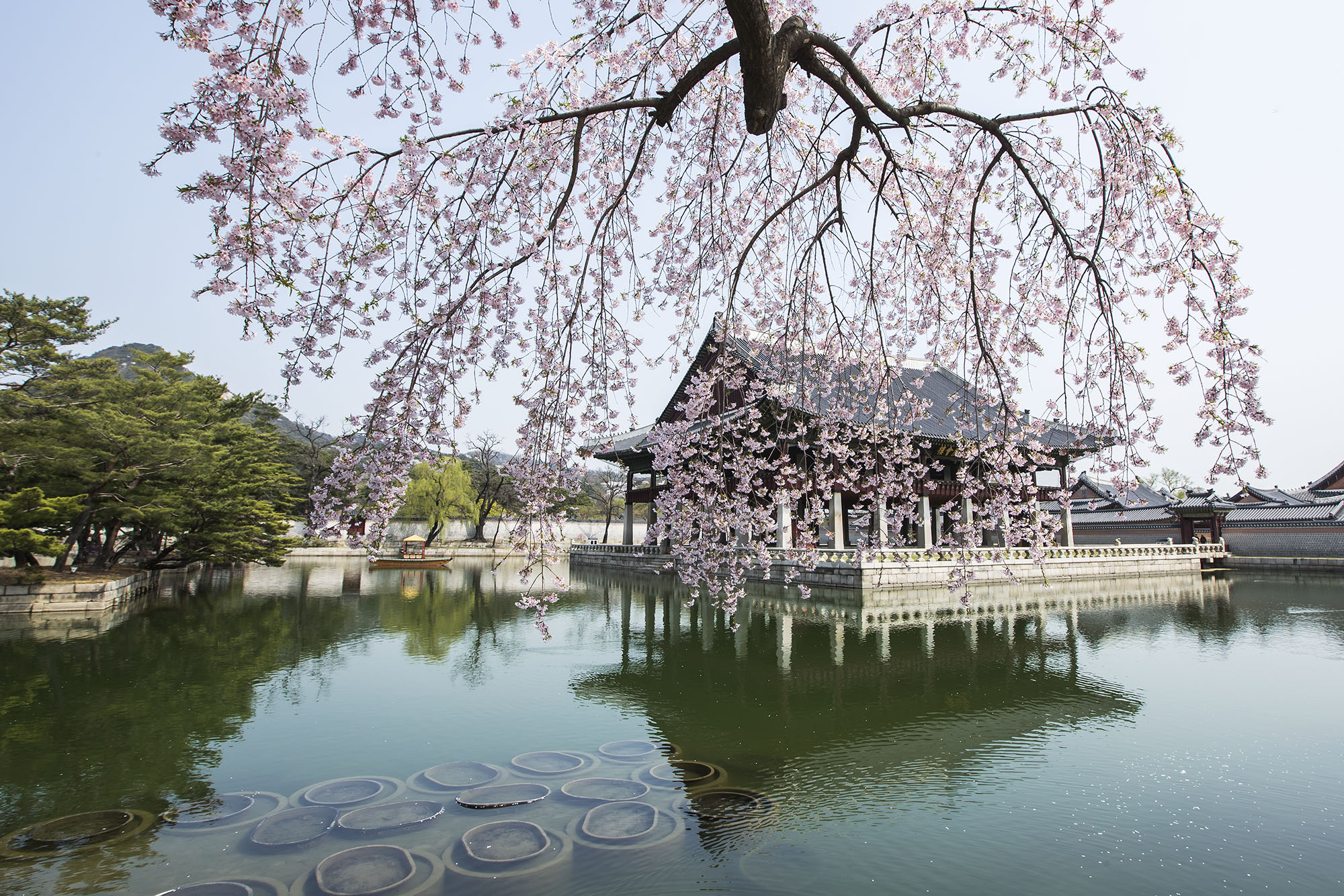 images_4486