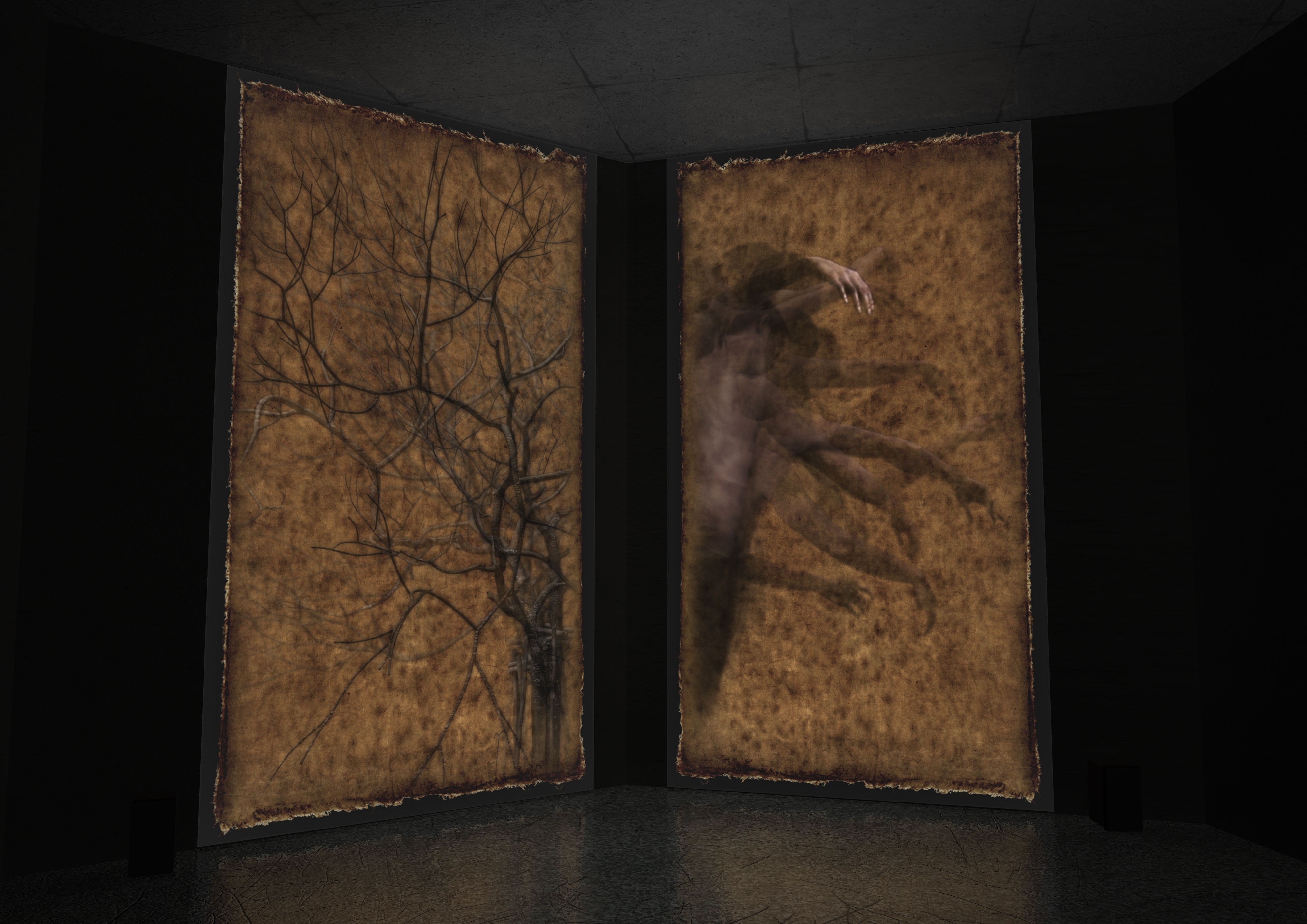 images_3084