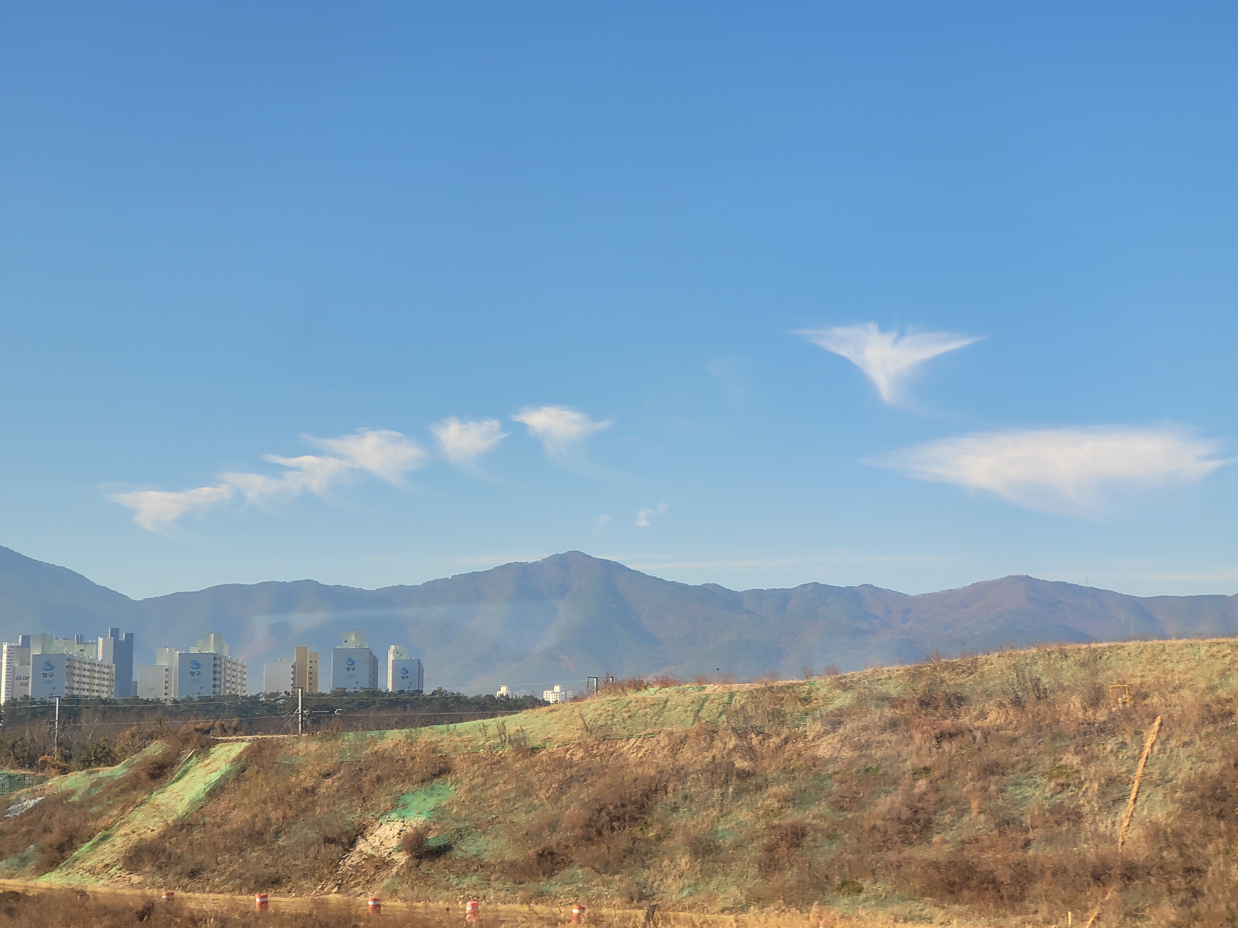 images_5804