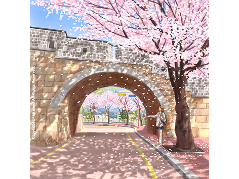 프로필 사진