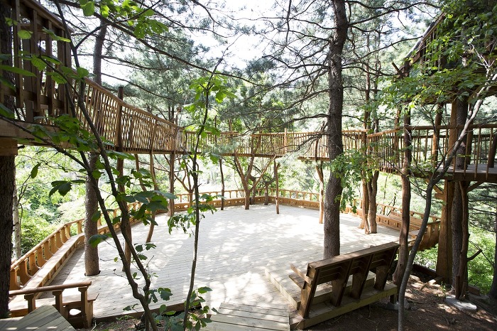 images_14415