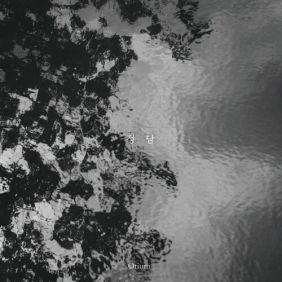 images_16527