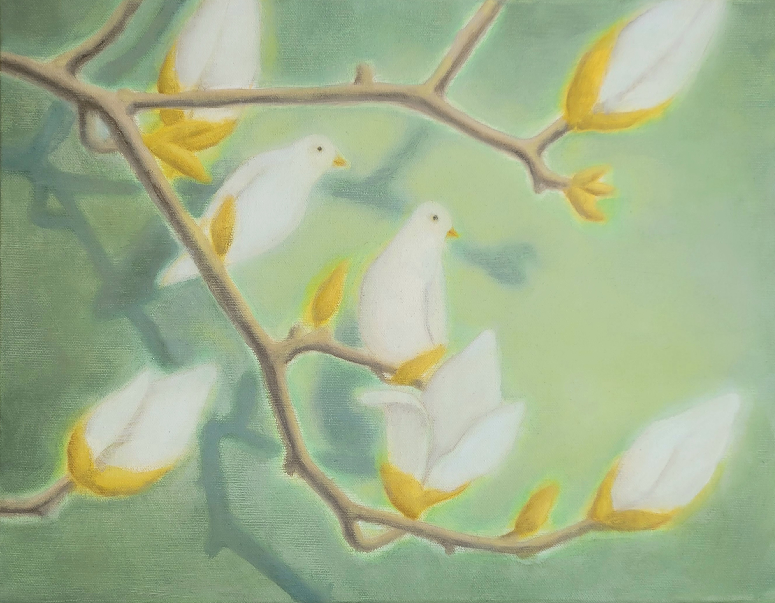 images_16891
