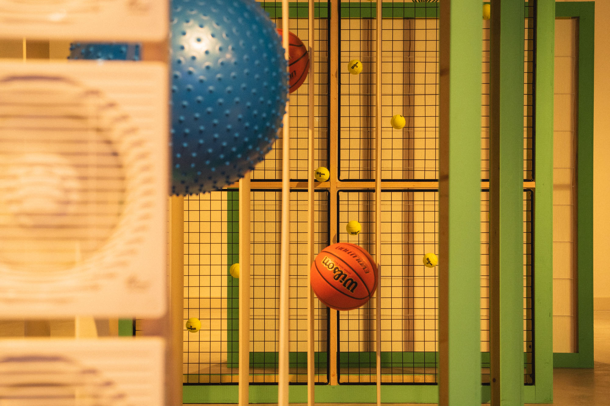 images_17408